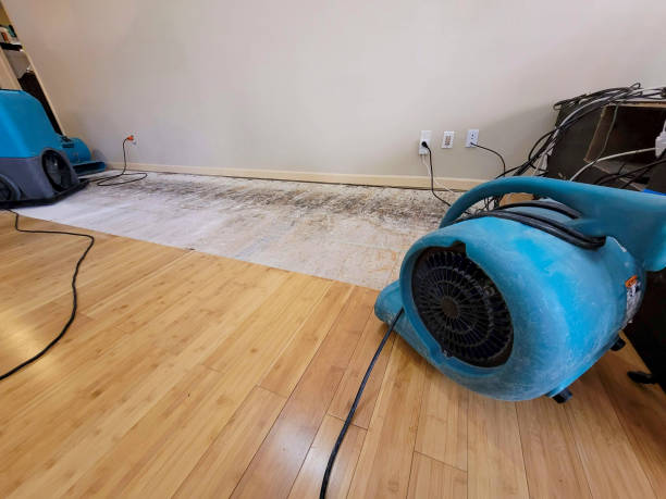 Professional Water Extraction technician working in West Jordan, UT